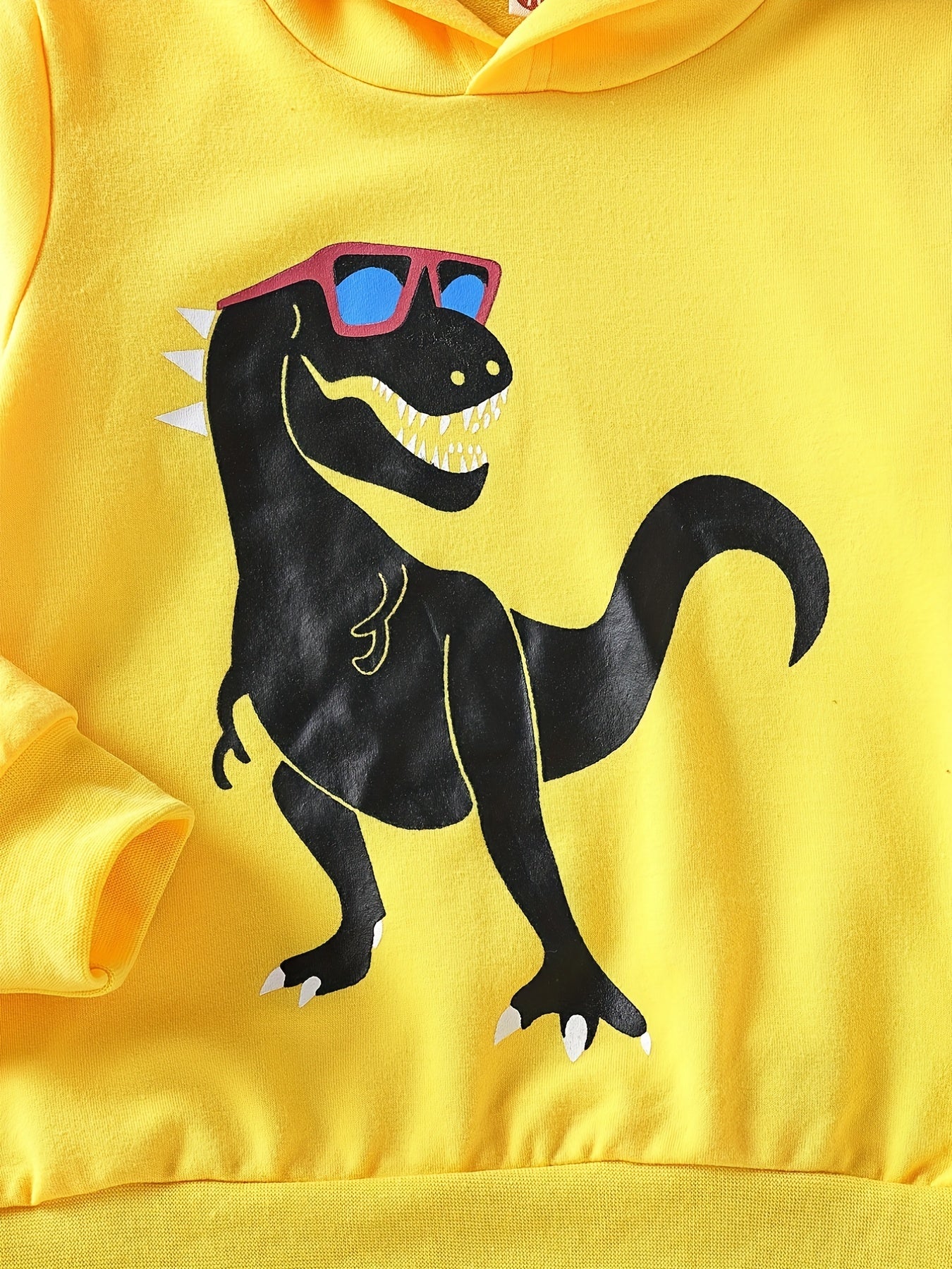 Dinosaur Print Boys Hooded Sweatshirt & Sweatpants Set