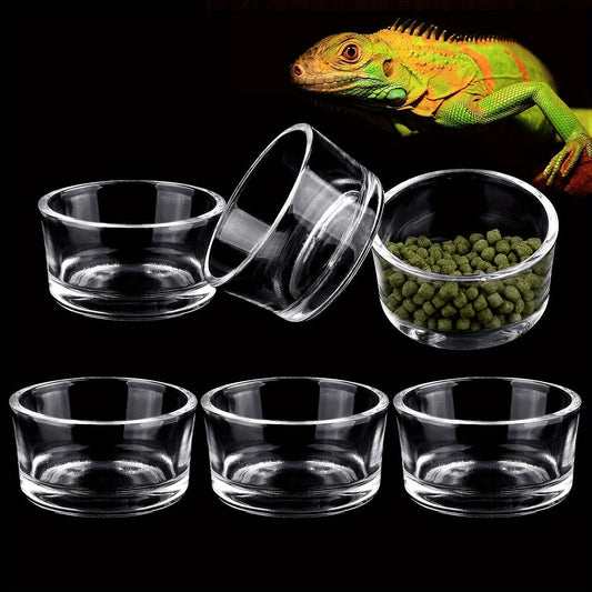 6pcs Glass Reptile Feeder Food Bowls Water Dish Cups for Small Pet Lizard Turtle