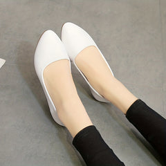 Women's Pointed Toe Ballet Flats Soft Sole Slip On Walking Shoes
