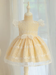 Baby Girls Bowknot Flutter Sleeve Lace Gown Dress for Party