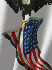 3D Eagle & Flag Print Men's Graphic Crew Neck Long Sleeve Tee