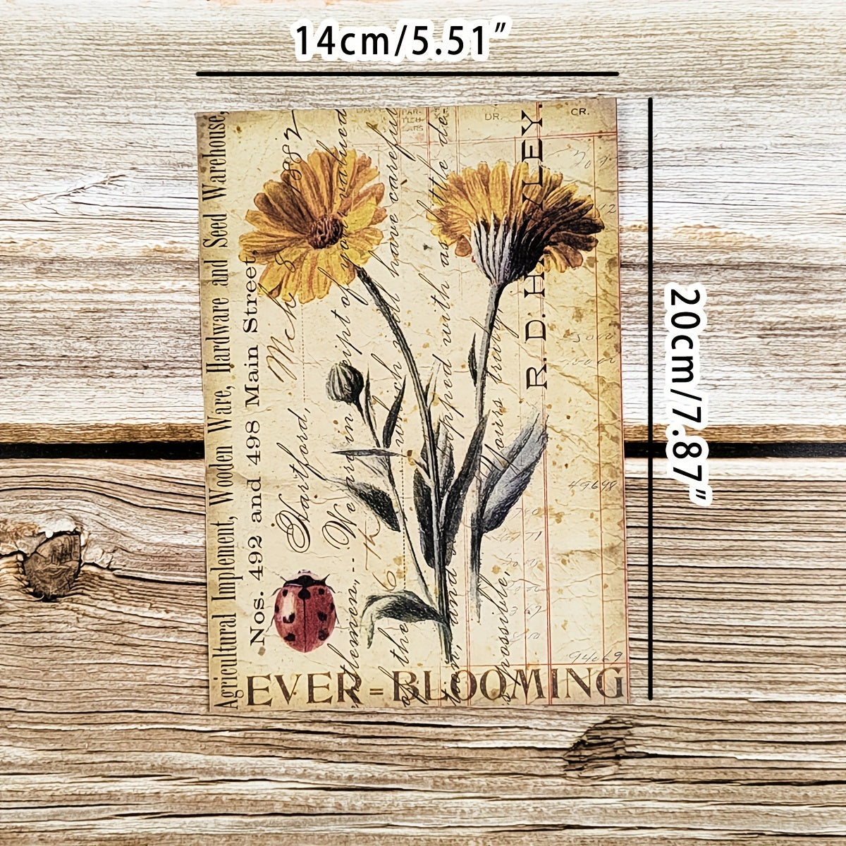 8pcs Vintage Botanical Flower Nature Scrapbook Papers DIY Crafts