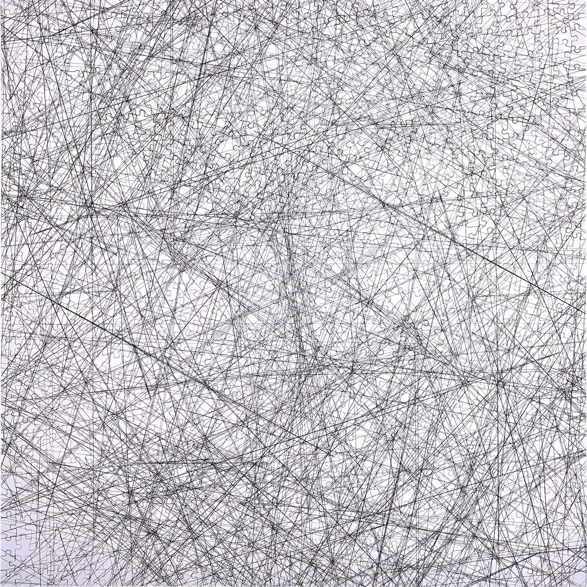 1000pcs Jigsaw Puzzle Line Art Game Educational Brain Teaser