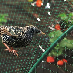 Bird Netting Garden Protection Nylon Woven Netting