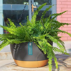 Plastic Hanging Planters Outdoor Indoor Flower Pots Dark Grey