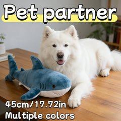 img_4109285