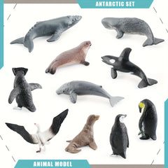 Polar Animal Model Set Penguin Sperm Whale Albatross Seal Antarctic Marine Life