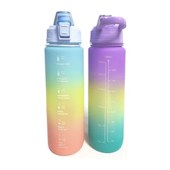 Gradient 1L Water Bottle with Straw