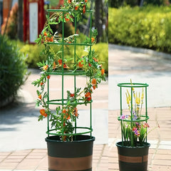 Plant Climbing Vine Support Frame Set with Rings, Rods - 6/12/18pcs