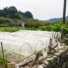 10x33FT Ultra Fine Mesh Netting Pest Barrier Bird Mosquito Plants Cover