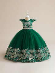 Girls Embroidered Fit and Flare Prom Dress for Party Show