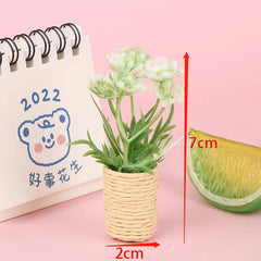 img_2708061