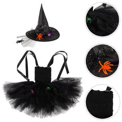 img_2551658