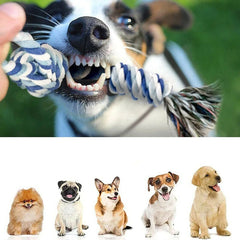 img_5089492