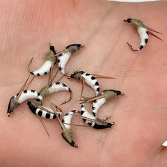 10pcs Fly Fishing Flies Insect Bait Lure Trout Bass Perch Carp Walleye