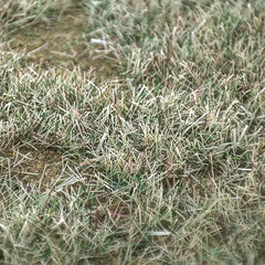 img_4969601