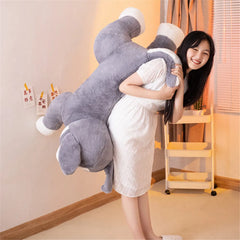 img_2937027