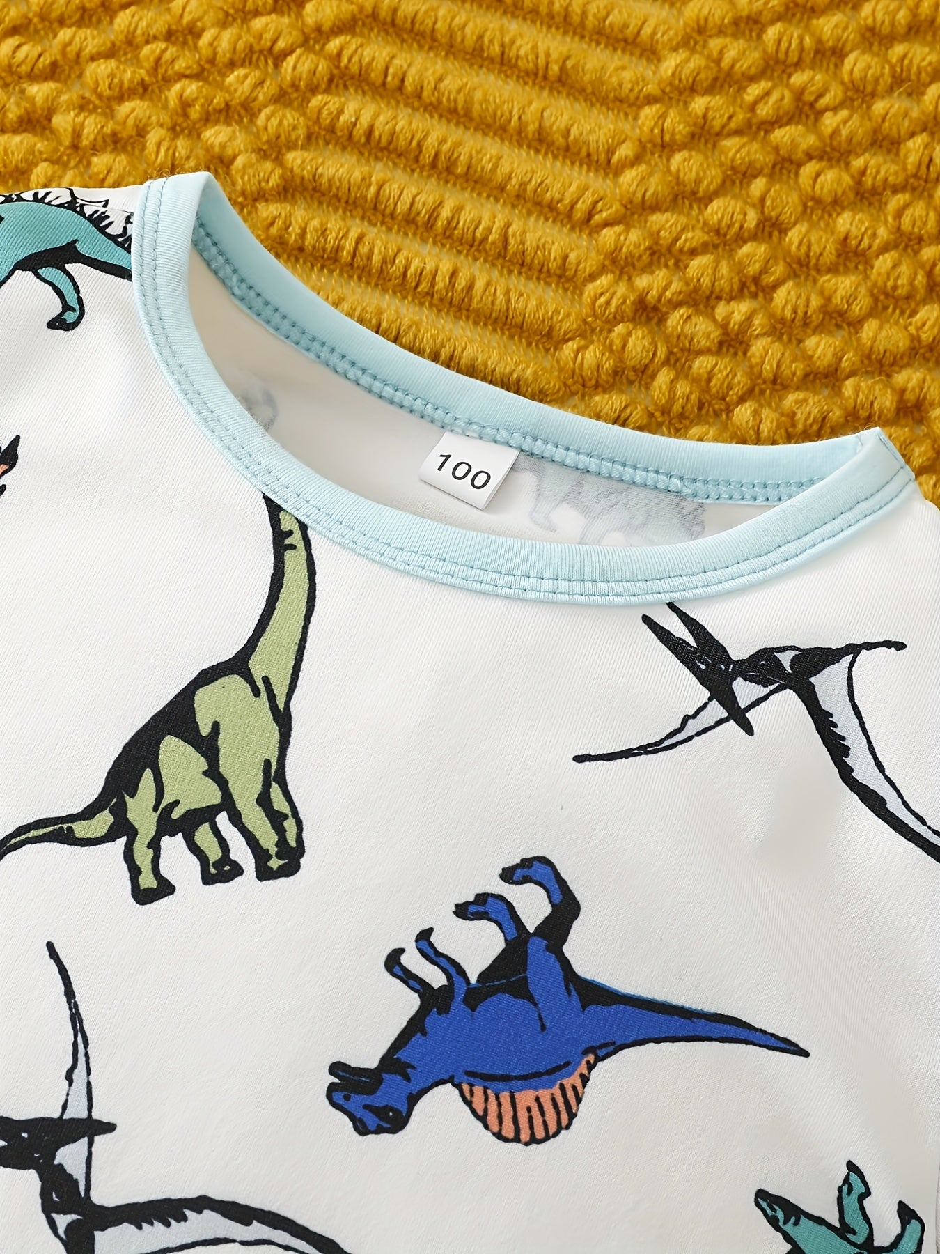 Boys Dinos Pajamas Set Long Sleeves Tops & Bottoms Comfort Cozy