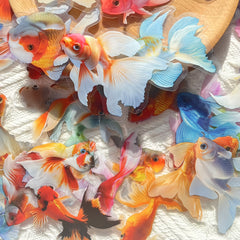 50pcs Colorful Koi Fish Stickers Self Adhesive Decals for Laptop & Skate
