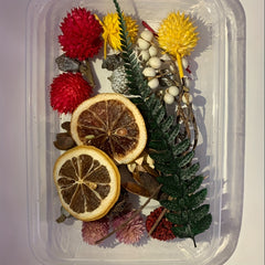 Dried Fruits & Flowers DIY Kit Natural Plants Pine Nuts Cinnamon Decor
