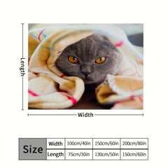 Cat Pattern Fluffy Flannel Blanket Soft and Lightweight Plush Blanket