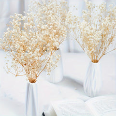 Natural Gypsophila Branches for Party Table Vase Wedding Home DIY Wreath Floral