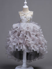 Girls Puffy Princess Dress Flowers Embroidery Layered Dress