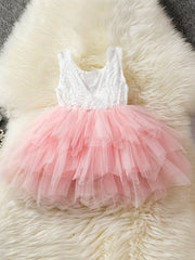 Girl's Lace Embroidered Princess Dress