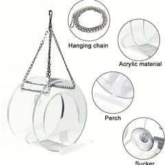 Hanging Bird Feeder with Suction Cup Decoration