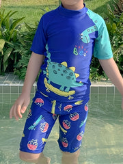 Boys Dinosaur T shirt & Shorts Set Swimsuit for Summer Holiday Party