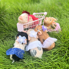 5 Mini Full Body Silicone Piglet Dolls with Outfits - Reborn Dolls for Kids' Toy
