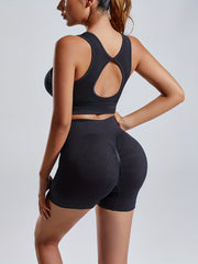 2pc Seamless Yoga Sets Women Crop Top High Waist Butt Lifting Shorts Activewear