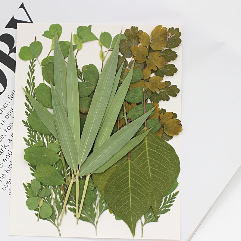 Dried Leaves & Flowers for Resin Crafts