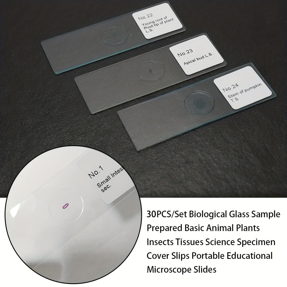 30pcs Biological Glass Sample Prepared Basic Science Specimen Set