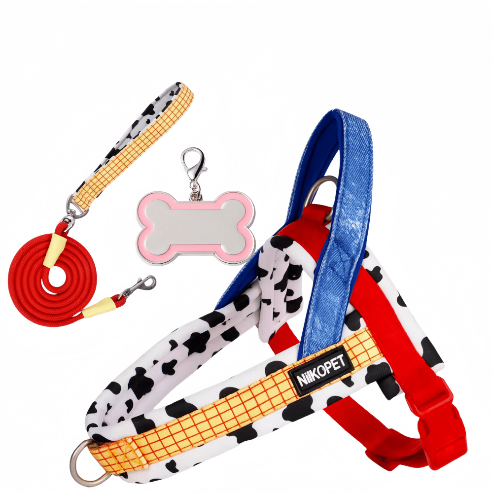 img_4099850