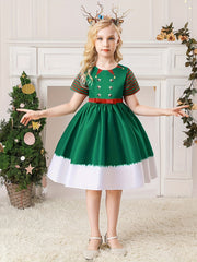 Christmas Princess Dress Short Sleeve A Line Dress Kids Cosplay Costume