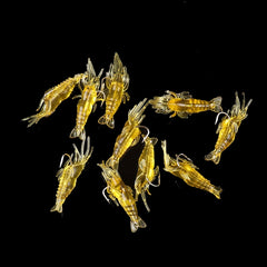 10pc Shrimp Lure Set for Bass Fishing with Simulation Soft Prawn Bait and Hooks