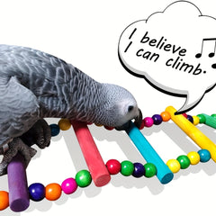 Colorful Parrot Swing Bridge Climbing Ladder