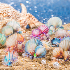 20pcs Seaside Treasure Shell Sticker Pack for Journal Decoration