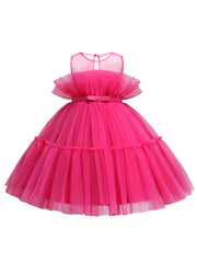Toddler Girls Princess Dress with Hot Mesh Girls Holiday Dress