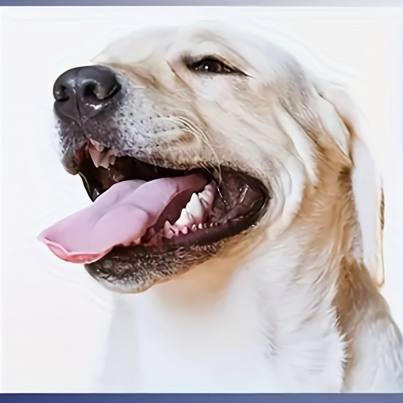 2pc Pets Teeth Cleaning Tools Double Sided Dogs Cats Tartar Remover Dental Stone