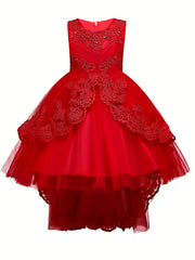 Girls Puffy Princess Dress Sleeveless Beaded Flowers Embroidery Tulle Lace Tutu