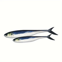 2pcs 12 Scissor Tail Fishing Lure 3D Printing Soft Bait Bionic Sea Fishing Bait