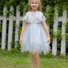 Girls Mesh Lace Collar Embroidered Princess Dress For Birthday Party