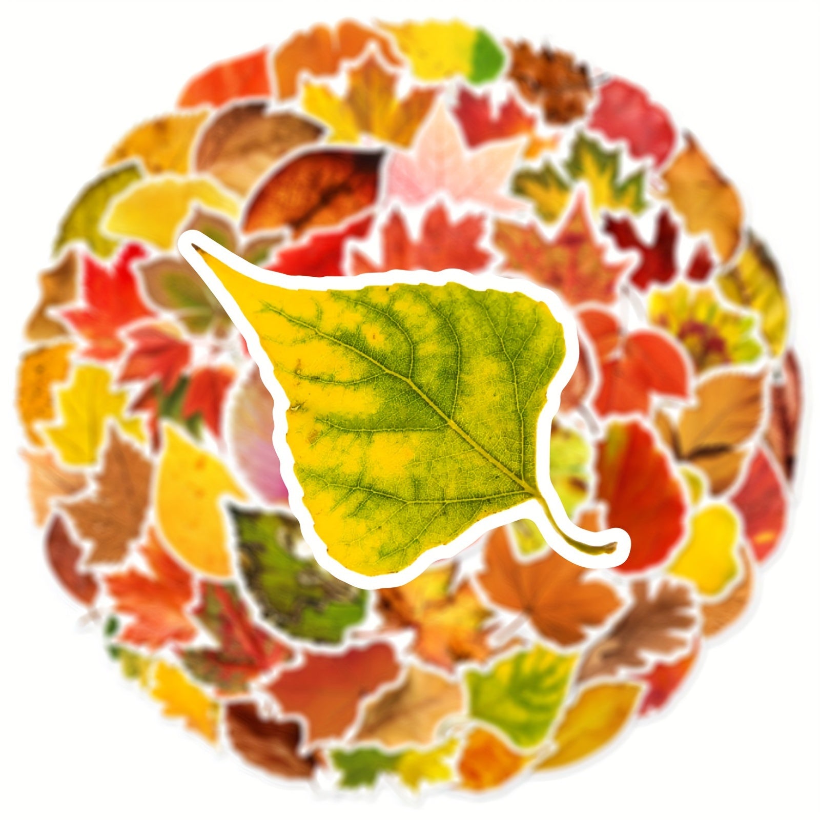 60pcs Leaf Graffiti Stickers DIY Pack for Guitar Skateboard Phone