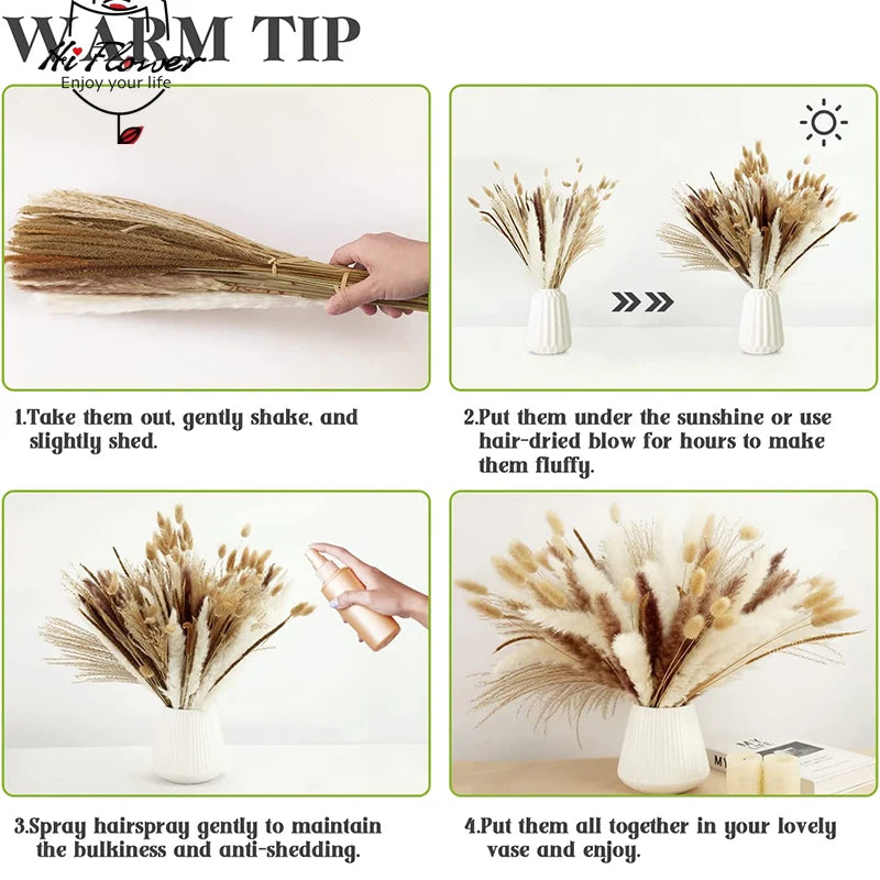 img_2514112