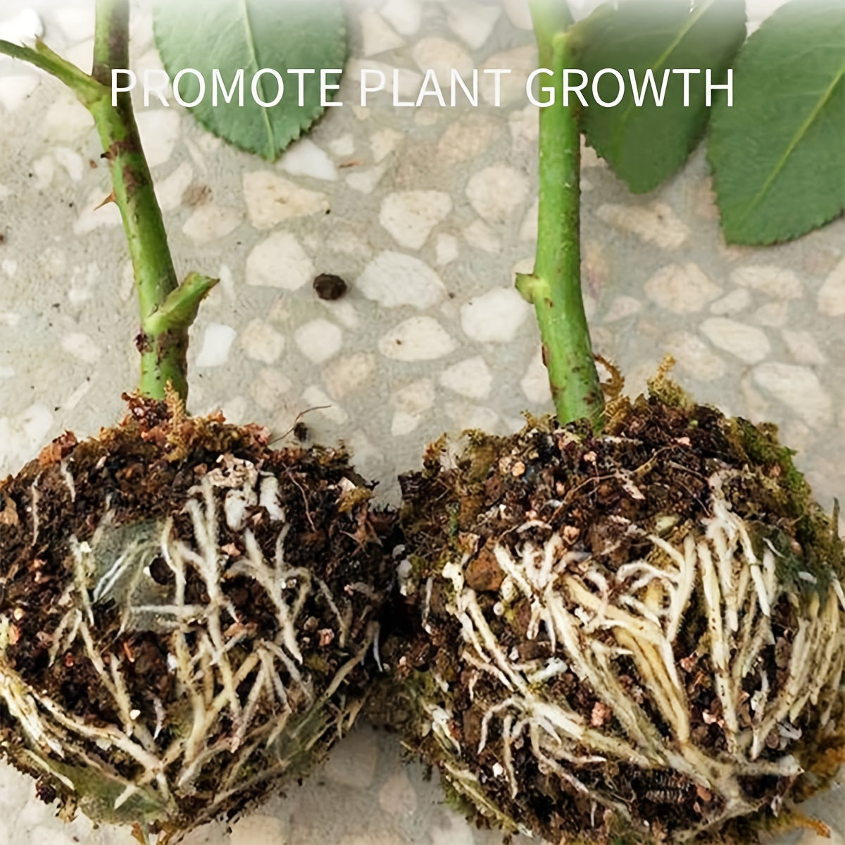 Tree Root Growing Box Rooting Ball Grafting Tool High Pressure Tree Rooter
