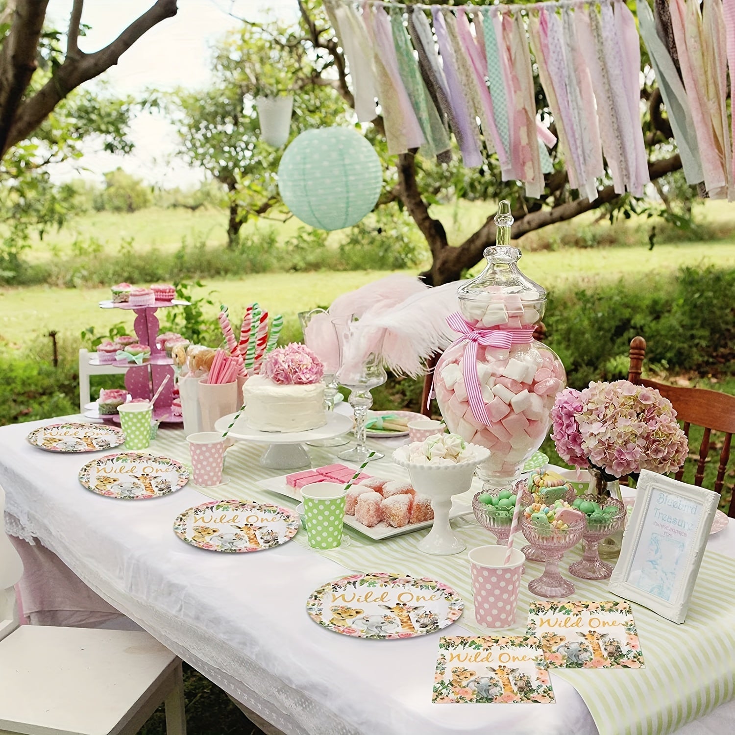 Wild One Birthday Party Supplies - 20 Plates & 20 Napkins for Girls