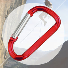 2pcs D-Shaped Aluminum Carabiners for Outdoor & Keychains