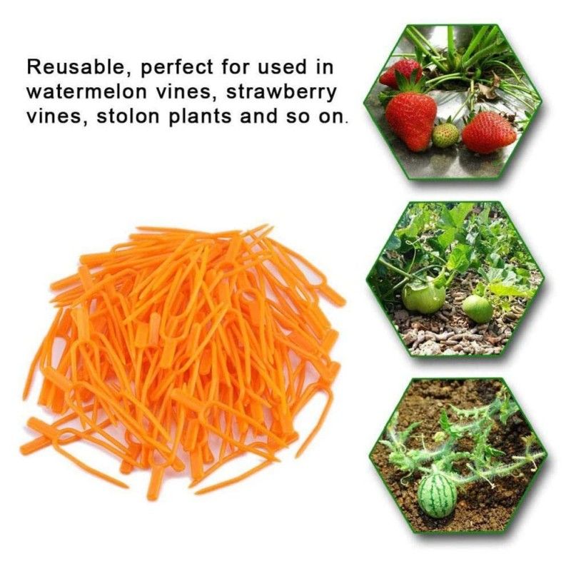 50pcs Farming Clip Plant Fixed Clamps Strawberry Watermelon Fork